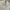 Timberland Casual Formal shirt Pria white photo 2