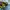 Puma Indie Casual Sneakers Pria green yellow photo 4