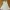 H&M Vintage Casual Dress Wanita White
