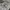 Adidas Streetwear Y2K Track jacket Pria white gray photo 5