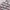 Adidas Streetwear Y2K Track jacket Pria white gray photo 2