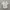 Casual Formal shirt Pria white photo 1