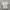Casual Formal Shirt Pria White