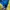 New Balance Gorpcore Sportswear Windbreaker Pria yellow photo 3