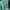 Columbia Gorpcore Sportswear Track jacket Pria green photo 2