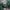 Columbia Gorpcore Sportswear Track jacket Pria green photo 4