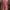 Minimalist Pakaian Nasional Kebaya Wanita gold pink photo 2
