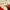 Descente Vintage Sportswear Track jacket Pria white red photo 5
