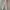 Vintage Streetwear Jeans Pria cream photo 5