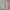 Vintage Streetwear Jeans Pria cream photo 1