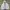 Skechers Streetwear Casual Puffer jacket Pria white photo 3