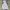 Skechers Streetwear Casual Puffer jacket Pria white photo 1