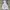 Skechers Streetwear Casual Puffer Jacket Pria White