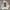 Skechers Streetwear Casual Puffer jacket Pria white photo 4