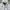 Skechers Streetwear Casual Puffer jacket Pria white photo 6