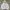 Skechers Streetwear Casual Puffer jacket Pria white photo 2