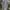 Adidas Sportswear T-shirt Pria gray photo 2