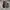 Converse Casual Sneakers Pria white black photo 6