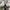 Converse Casual Sneakers Pria white black photo 7