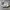 Reebok Casual Sneakers Pria white navy photo 2