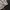 Japanese brand Streetwear Sportswear Casual shirt Pria cream photo 7