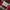 Lee Streetwear Sportswear Casual shirt Pria red gray photo 5