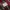 Lee Streetwear Sportswear Casual shirt Pria red gray photo 7
