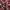 Lee Streetwear Sportswear Casual shirt Pria red gray photo 6