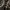 Parkland Vintage Y2K Sweatshirt Pria brown photo 3