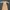 Vintage Y2K Casual dress Wanita orange cream photo 1