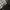 Sugar Cane Streetwear Sportswear Casual shirt Pria white black photo 8