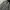 Sugar Cane Streetwear Sportswear Casual shirt Pria white black photo 3