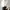 Casual Bomber jacket Pria white photo 2