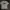 LMC Streetwear T-shirt Pria white photo 2