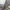 Cabane de Zucca Luxury Minimalist Harrington jacket Wanita white gray photo 6