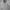 Cabane de Zucca Luxury Minimalist Harrington jacket Wanita white gray photo 7