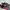 Adidas Casual Casual shoe Pria red black photo 4