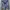 ZARA Vintage Blouse Wanita blue photo 2