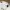 VANS Streetwear Skater Jeans Pria white photo 6