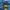 The North Face Gorpcore Track jacket Pria black blue photo 2