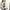 Polo Ralph Lauren Coquette Minimalist Sweater Wanita cream photo 1