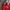 Puma Vintage Sportswear Jersey Pria red photo 2
