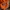 Nike Vintage Sportswear Jersey Pria orange photo 4