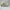 Guess Vintage Streetwear Hat Pria tan photo 5