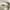 Guess Vintage Streetwear Hat Pria tan photo 7