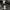 Fear of God Streetwear Tracksuit Pria black photo 7