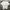 Giordano Casual T-shirt Pria white photo 1