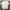Giordano Casual T-shirt Pria white photo 3