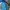 Lotto Sport Italia Sportswear Puffer jacket Pria black blue photo 7