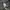 Dickies Vintage Biker Denim jacket Pria gray photo 5